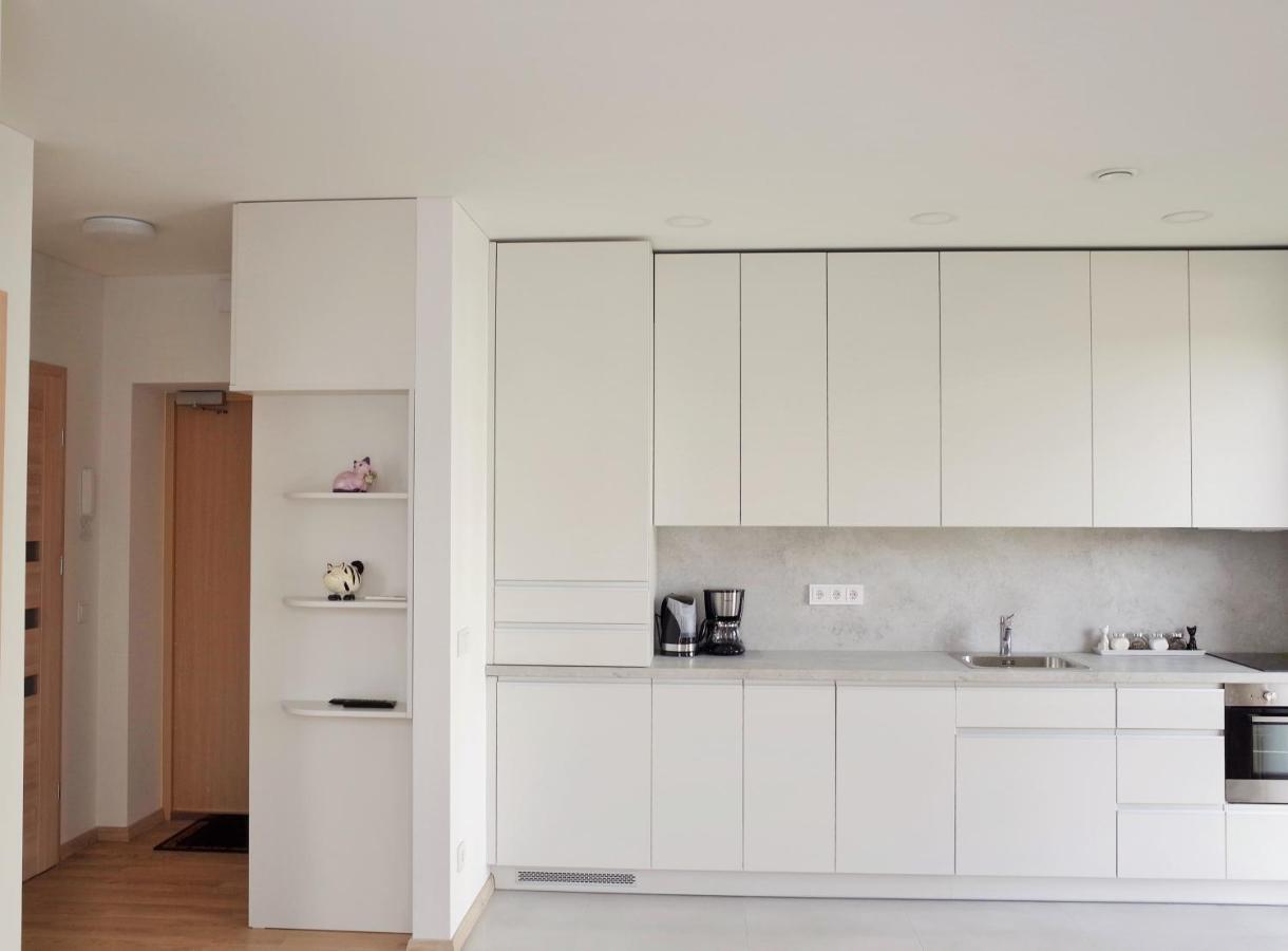 Elzbietos Centro Apartamentai 빌뉴스 외부 사진