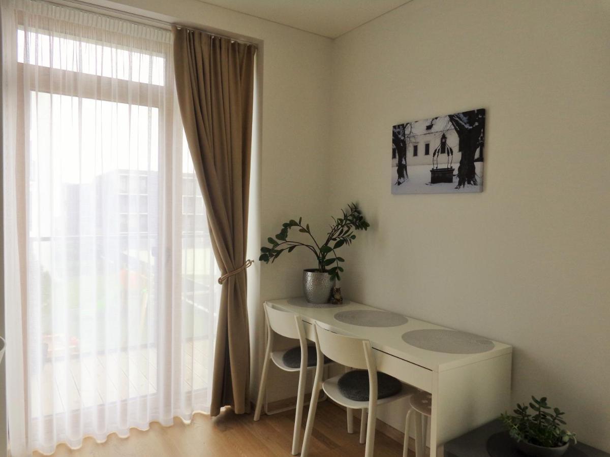 Elzbietos Centro Apartamentai 빌뉴스 외부 사진